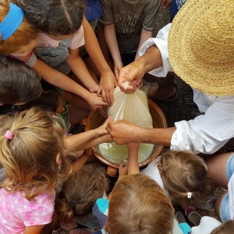 Casa + Museos + demostración de elaboración de queso - imagen 3