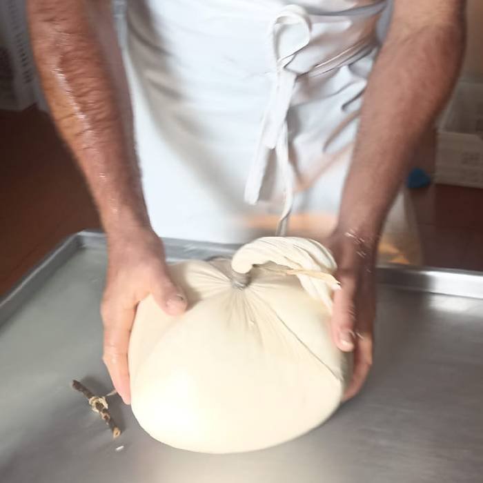 Queso artesano de Binissuès listo para venta directa