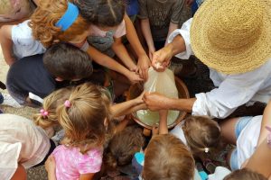 queso artesano Menorca excursiones colegio
